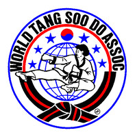 World Tang Soo Do Association logo - Similar company to Studioblauw Bv  |  Reclame, Ontwerp En Marketing