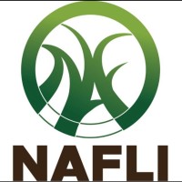 Nafli Inc logo - Similar company to Signorcrypto