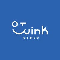 WinkCloud-Solutions logo - Similar company to Sd-Flex