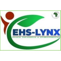 EHS LYNX AFRIK logo - Similar company to Master Of Science In Communication For Development & Social Change (Cdsc)