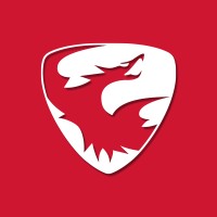 Skyeton logo - Similar company to Tekever