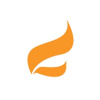 Flare Consulting Group logo - Similar company to Flair