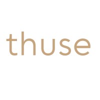 thuse | civil and structural engineers logo - Similar company to Re Projects Development Limited