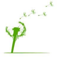 Esfera Verde Corp