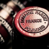 Domaine Parent / Société Jacques Parent & cie logo - Similar company to Campus Triangle