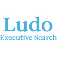 Ludo Executive Search logo - Similar company to Dipa Solutions