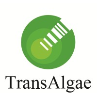 TransAlgae logo - Similar company to Microalgae Solutions S.L.