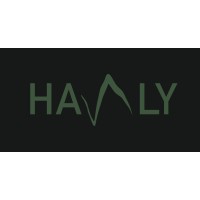 Hanly logo - Similar company to Sky Hopper