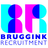 Bruggink Recruitment logo - Similar company to Delfin Impact Executives