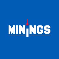 MINING SERVICE INGENIEROS (MININGS) logo - Similar company to Mining Service