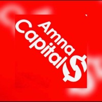 Amna Capital logo - Similar company to Ramsgroupofcompanies