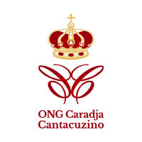 ONG Caradja Cantacuzino logo - Similar company to Eucivitas