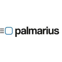 palmarius logo - Similar company to Indblik.Io