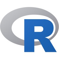 The R Foundation for Statistical Computing logo - Similar company to Statistics.Com