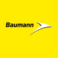 Baumann Electro AG logo - Similar company to Ibsys