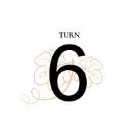 Turn 6 - Alcohol Free Sparkling Wine logo - Similar company to Higher - Global Hr & Talent Solutions