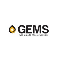 GEMS Gas Experts Mexico Solutions, LLC logo - Similar company to Gems Grant Easy Management Software