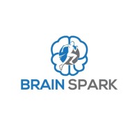 BrainSpark Digital logo - Similar company to Spin Virtual Solutions