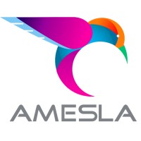 AMESLA - Logiciel de gestion pour les centres de médecine esthétique logo - Similar company to Blinkl