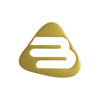 Baya Tech logo - Similar company to Bayatech 3D Solutions