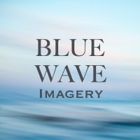 Blue Wave Imagery logo - Similar company to Watabot