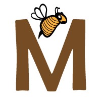 Maurisys Software Pvt. Ltd logo - Similar company to Dearhive