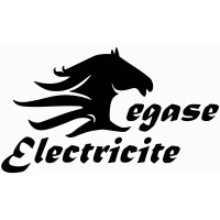 PEGASE ELECTRICITE logo - Similar company to Trs-Electricite.Fr