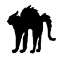 Nasty Cat logo - Similar company to Medway Sp. Z O.O.