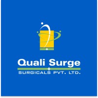 Qualisurge logo - Similar company to Perdure Techserve India