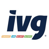 IVG Comercializadora S.A. DE C.V. logo - Similar company to Vago International Manufacturing S.A. De C.V.