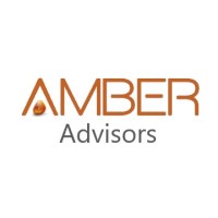 Amber Advisors logo - Similar company to Ta’Leem Trust