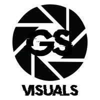 GSVISUALZ logo - Similar company to Vidana Foods