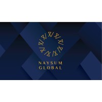 NAYSUM GLOBAL logo - Similar company to Colchones