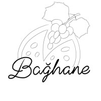 Bağhane logo - Similar company to Tomris Tech