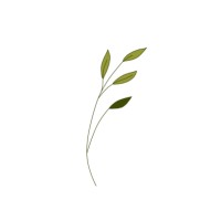DENKADVISEREN.NL logo - Similar company to The Systems Thinker