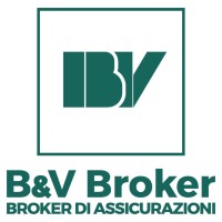B&V S.r.l. - Insurance Broker logo - Similar company to Nesios - Network Assicurativo