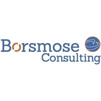 Borsmose Consulting logo - Similar company to Asman Energy