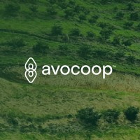 Avocoop SL logo - Similar company to Conversas