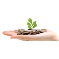MONEY  PLANT FINANCIAL SERVICES logo - Similar company to The Money Plant Project