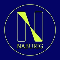 Naburig | Employer branding logo - Similar company to Bright Visual Branding