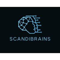 ScandiBrains logo - Similar company to Brillian