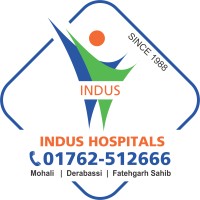 Indus Hospitals logo - Similar company to Tuitions
