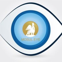 Mosul Eye Association logo - Similar company to Mosul Heritage Library