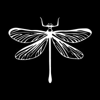 Amperthyst logo - Similar company to The Executive Group