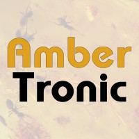 AmberTronic Limited logo - Similar company to Elite Interfaces Ltd