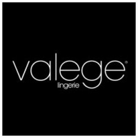 VALEGE logo - Similar company to Orcanta
