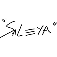 Saleya logo - Similar company to Arca Conception