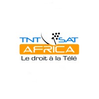 TNTSAT AFRICA logo - Similar company to Beit Niger