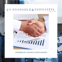 V. S.  Nyangulu & Associates Legal Practitioners and Conveyancers logo - Similar company to Stimulus Africa