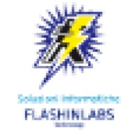 Flashinlabs Technology logo - Similar company to Penmyplan